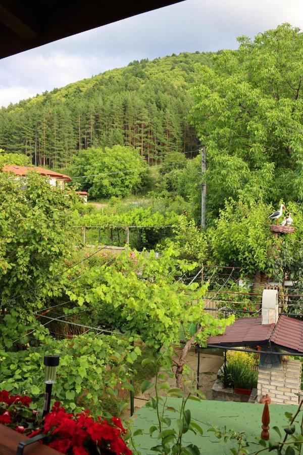 GREEN HOUSE - Попниколови Сапарева Баня Екстер'єр фото