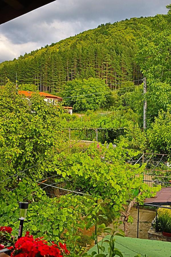 GREEN HOUSE - Попниколови Сапарева Баня Екстер'єр фото